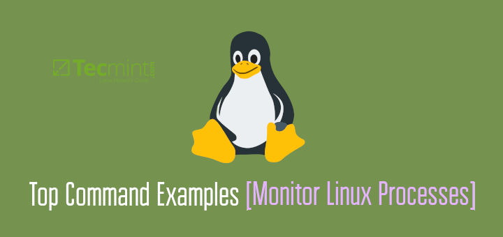 Linux での 16 の主なコマンド例 [Linux プロセスの監視]