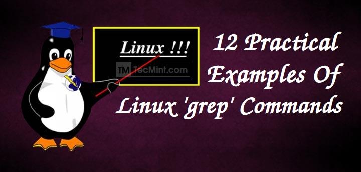 Linux grep コマンドの 12 の実践例