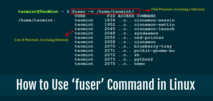 Linux での例を使用して「fuser」コマンドを使用する方法を学びます