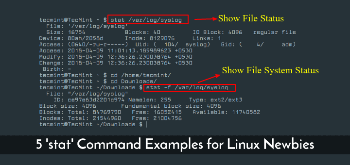 Linux初心者の5 'stat'コマンドの例