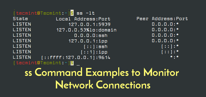 ネットワーク接続を監視するための 12 ss コマンドの例